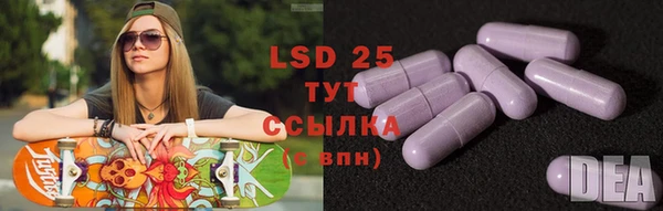 эйфоретик Горняк