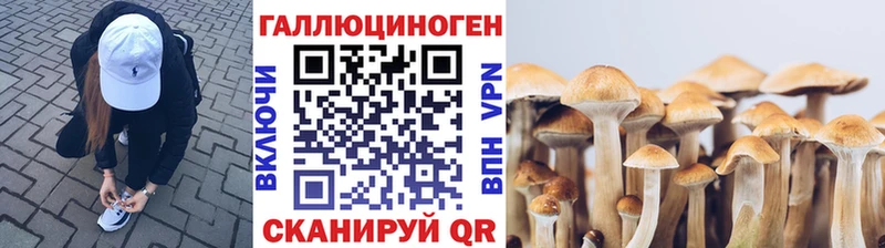 Галлюциногенные грибы мухоморы  KRAKEN вход  Мценск 